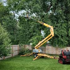 Reliable Enterprise, UT Tree Removal and Landscaping Services Solutions